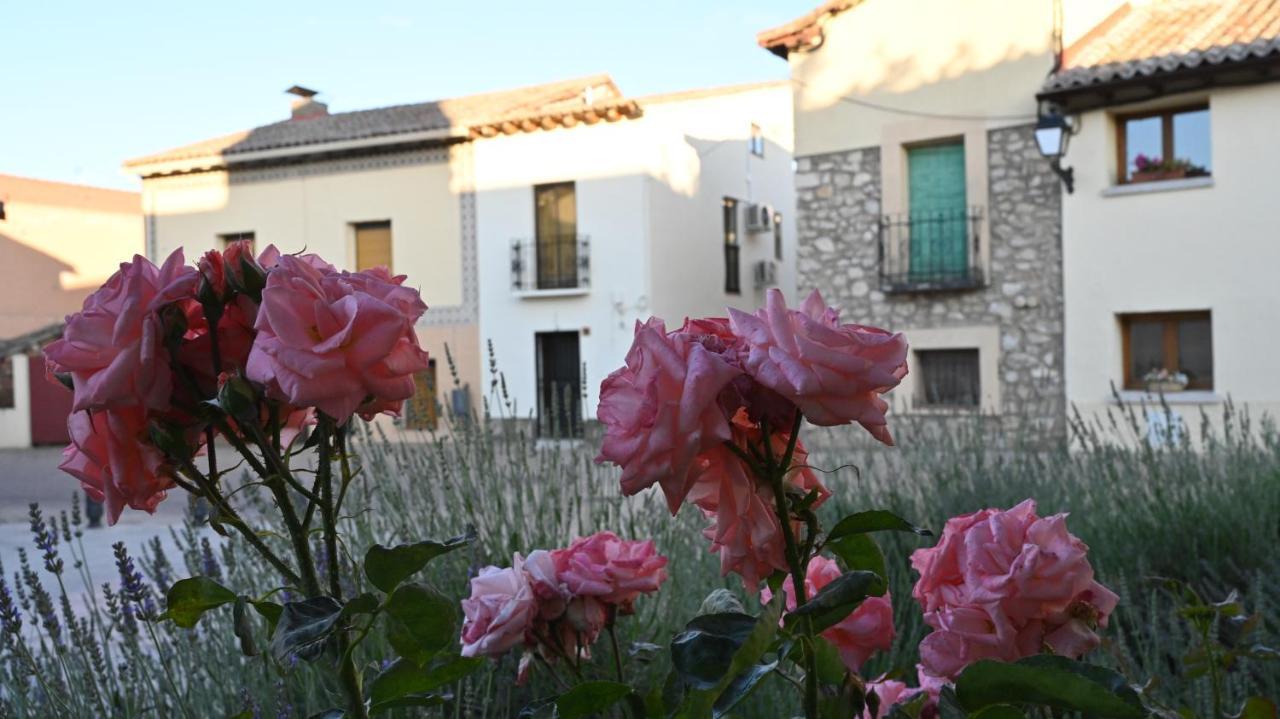 Casa Rural Antigua Botica Torremocha de Jarama Kültér fotó